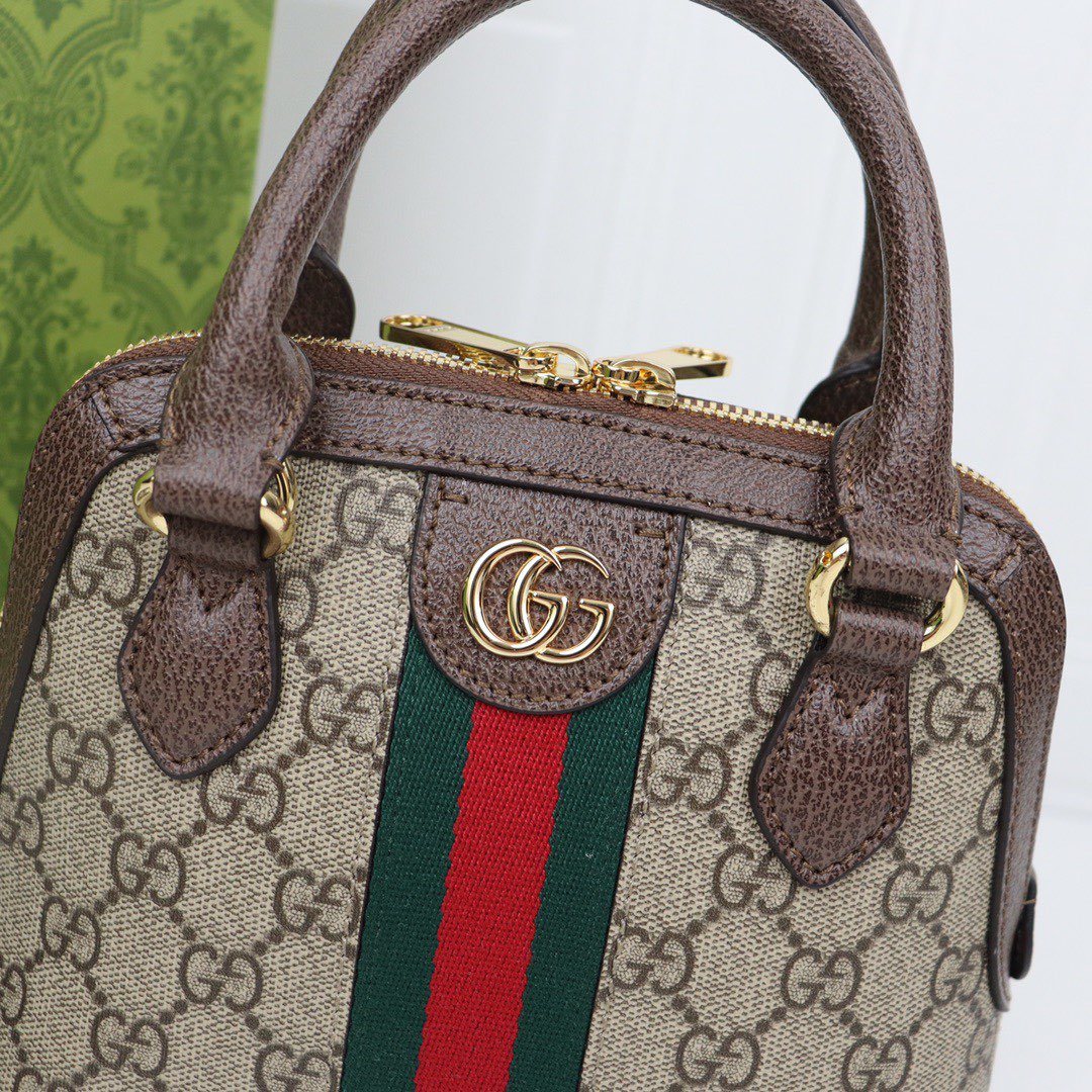 Gvc*1 ophidia bag-25x20x7.5cm