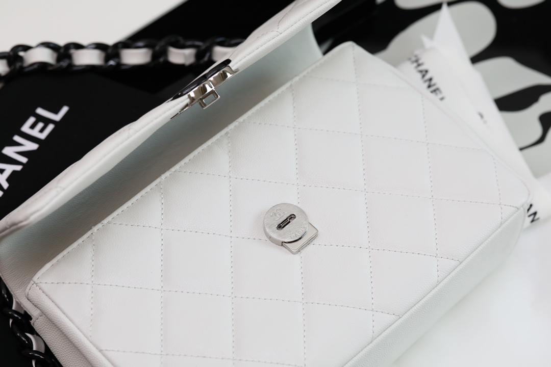 Ch@nel 2021SS Flap Bag