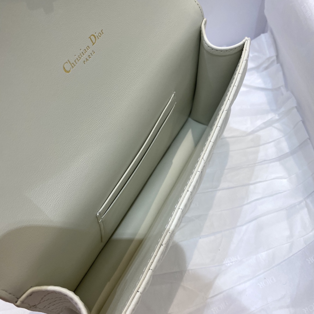 D*or 2021 caro bag-20*3*11cm