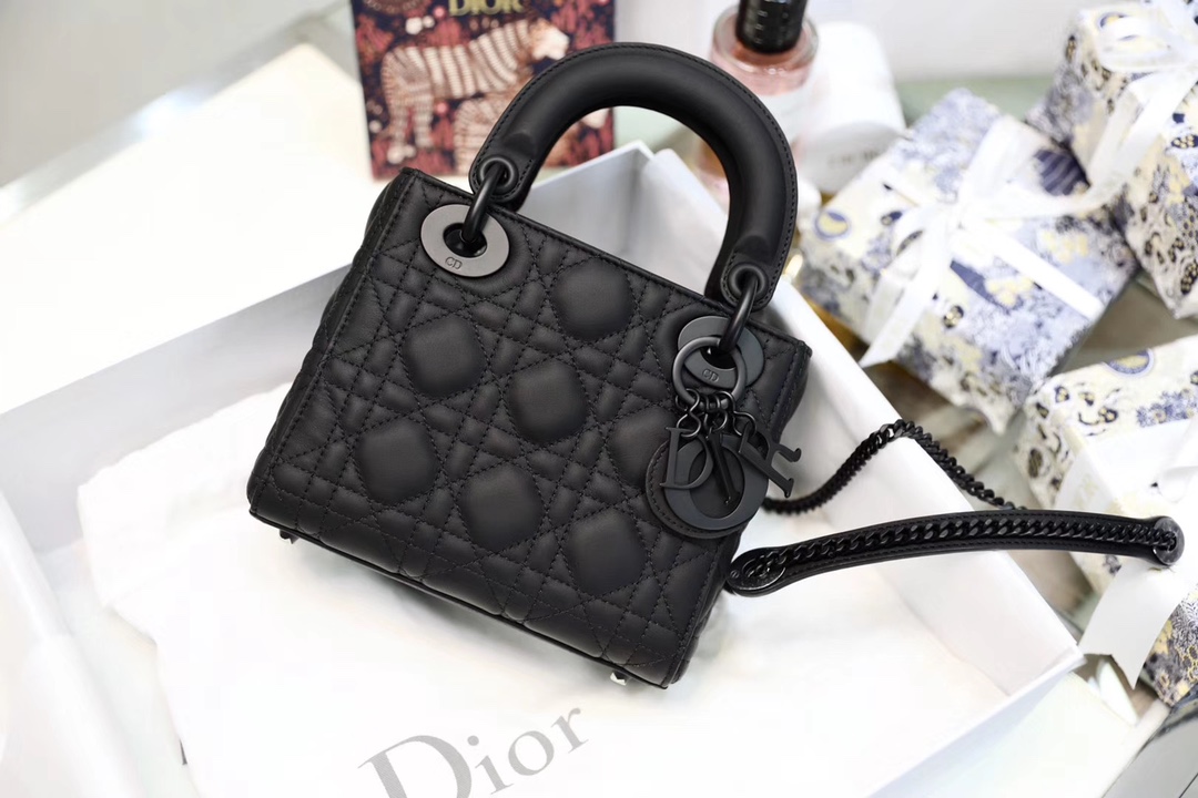 lady D*or bag-17cm