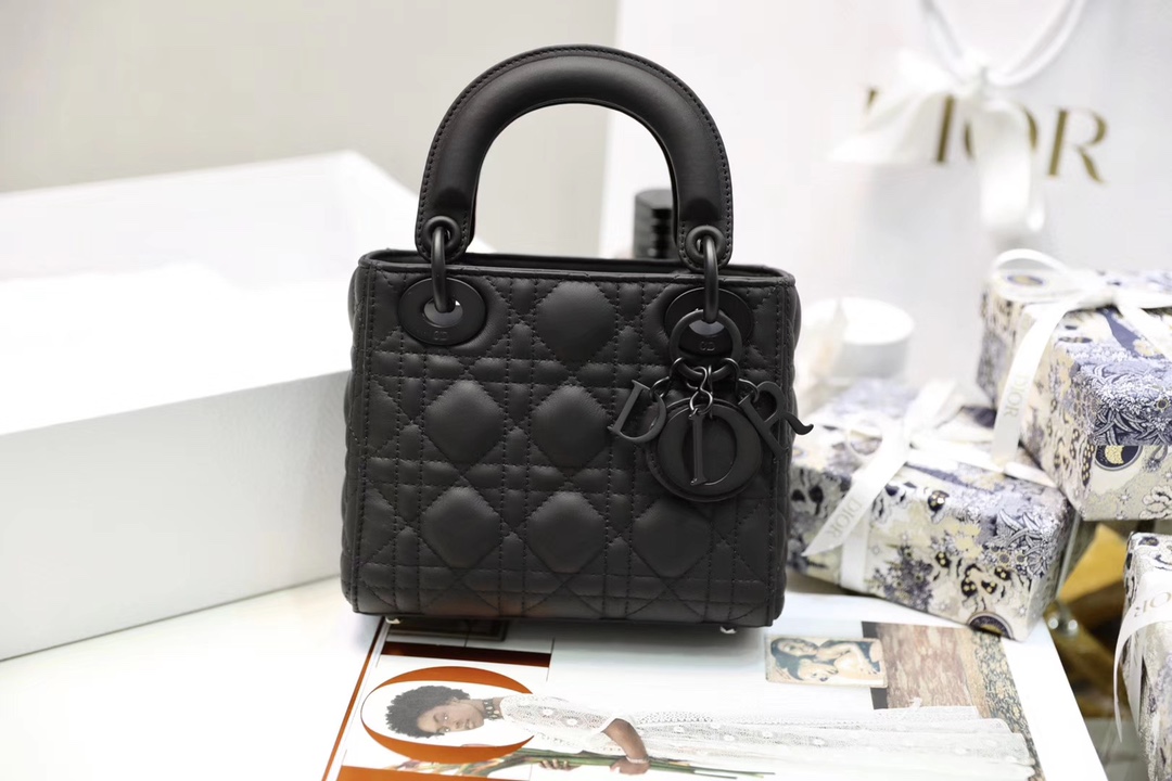 lady D*or bag-17cm