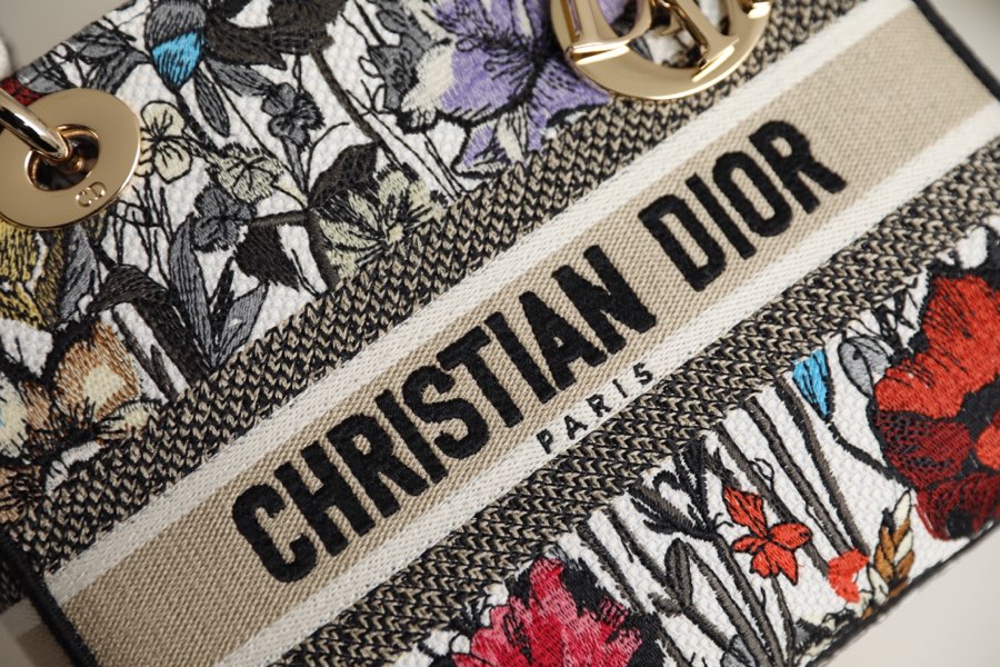 lady D*or bag-24*20*11cm