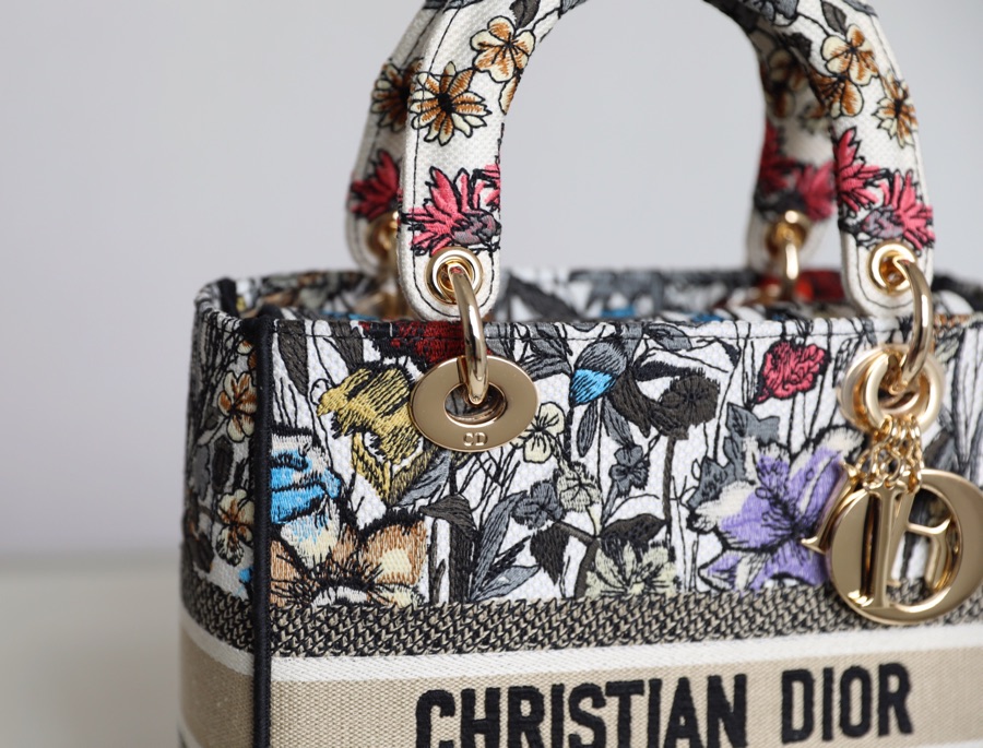 lady D*or bag-24*20*11cm