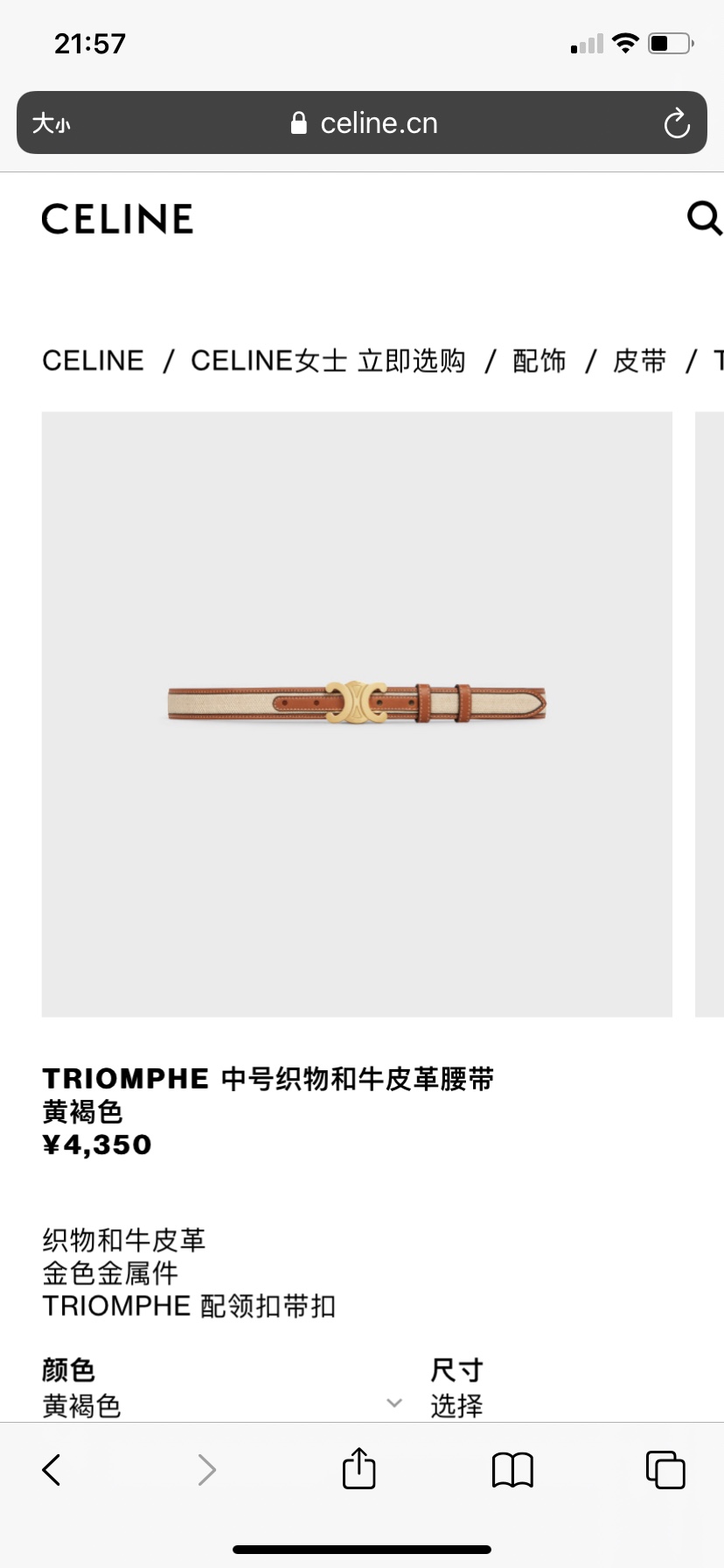 Celin Belt-2.4CM