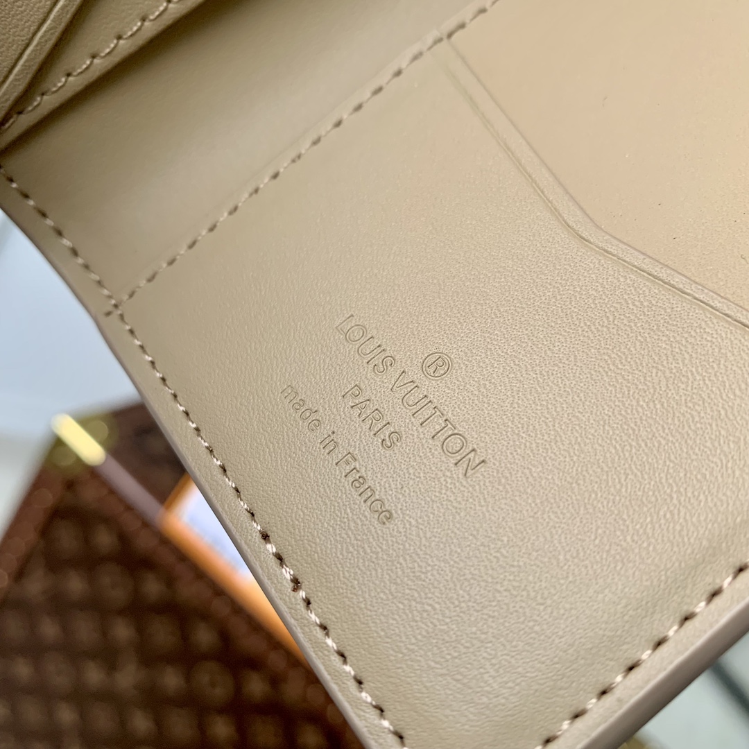 l0*is V*t0n aerogram wallet-8 x 11 x 1cm