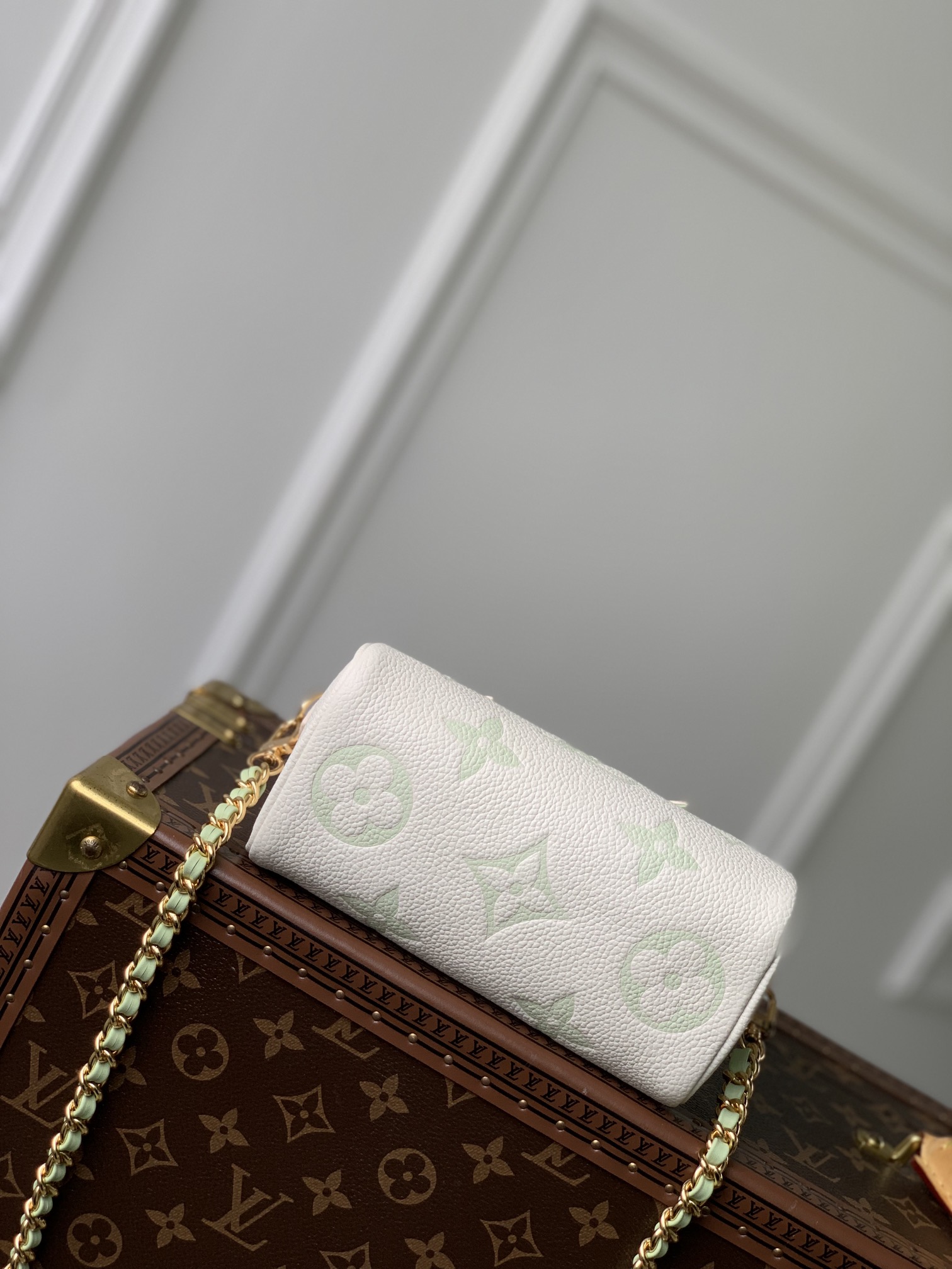 l0*is V*t0n nano speedy-16*10*7.5cm