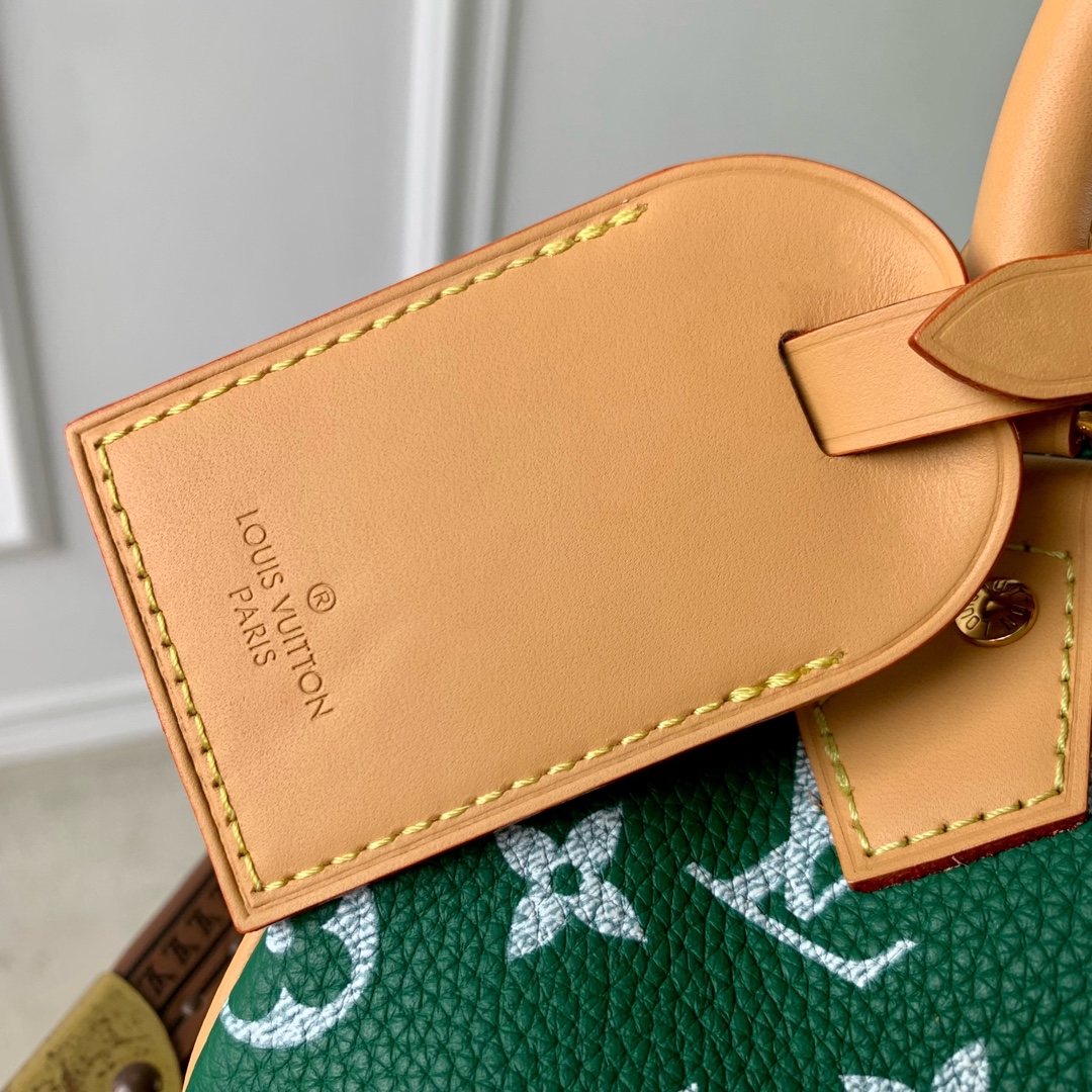 l0*is V*t0n speedy p9 bandoulière18 monogram-18 x 12 x 10cm