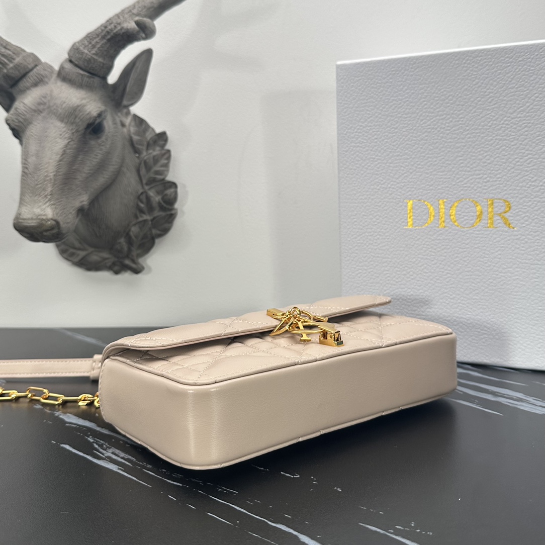 D*or miss daisy bag-22*12.5*4cm