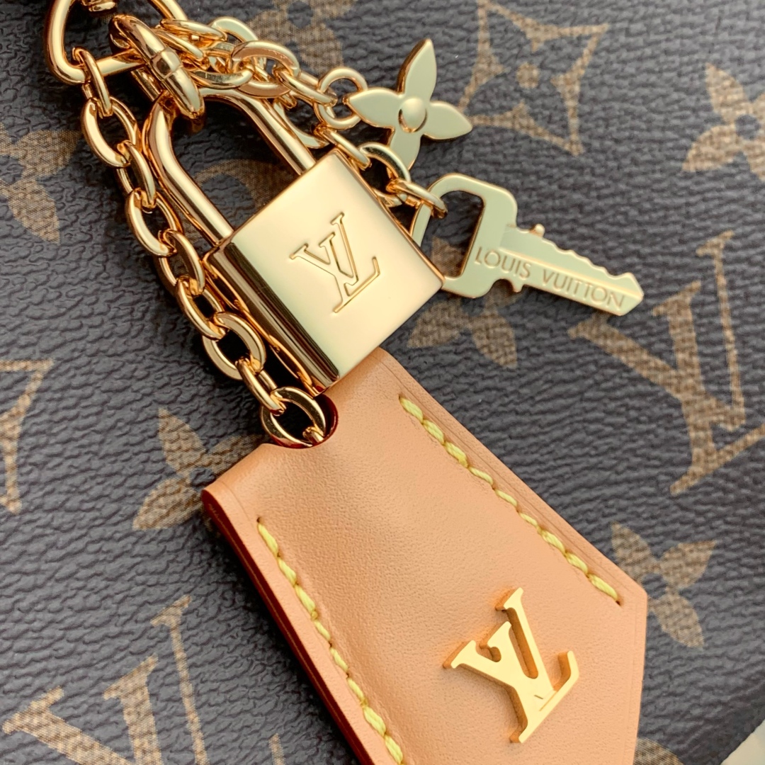 l0vis Vvtt0n loop hobo handbags-m12939-22 x 9 x 33cm